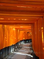 Kyoto Fushimi Inari Taisha